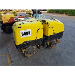 ZM008603_01